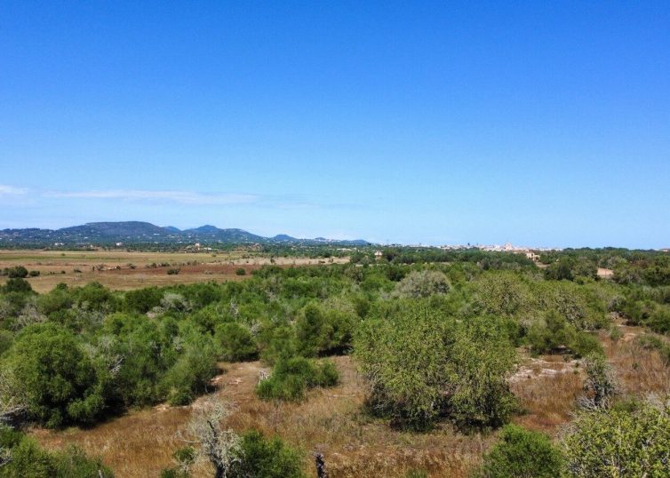 Blick nach Santanyi