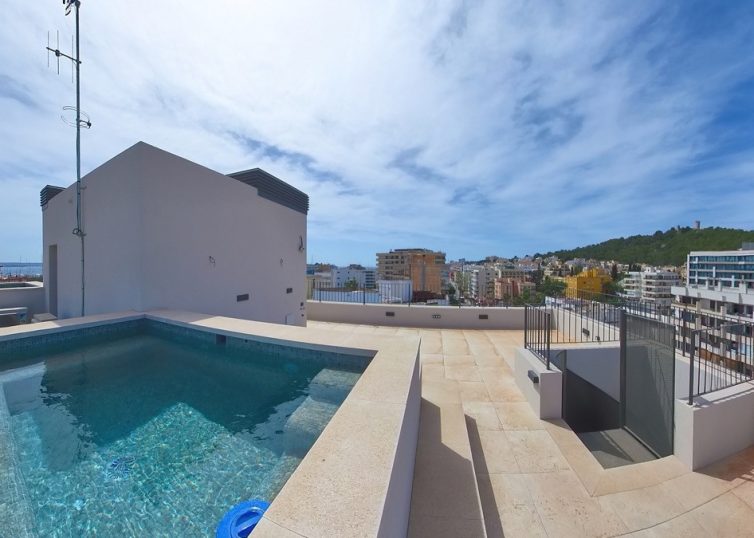 P-3637_9 Fantastisches Penthouse in Son Armadams mit Dachterrasse und privatem Pool 11