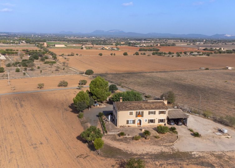 4856 Partly renovated country house in Ses Salines, with absolute privacy, dista